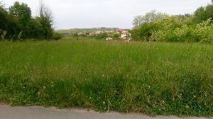 N0131