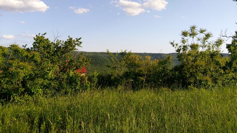 N0145