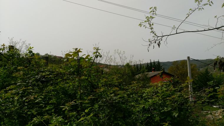 N0233