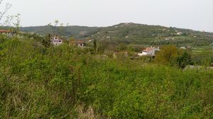 N0241