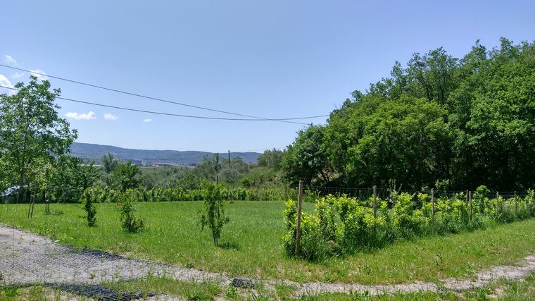 N0327